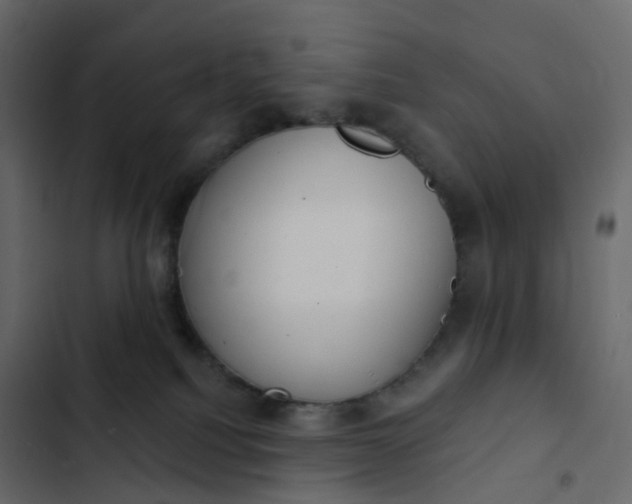 X0000102870088200809021458