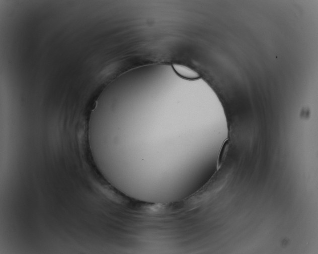 X0000102870092200809021458