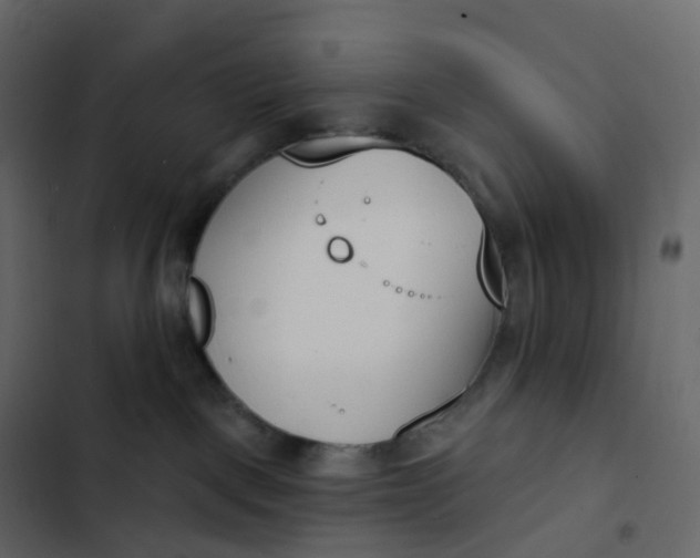 X0000102870093200809021458