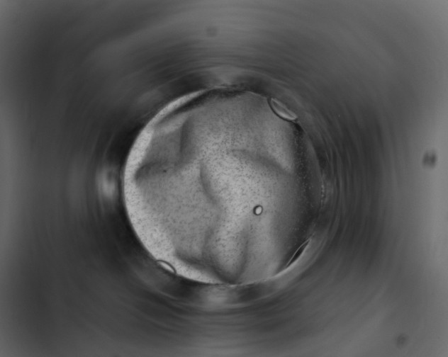 X0000102870094200809021458