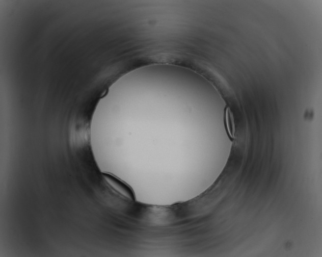 X0000102870095200809021458