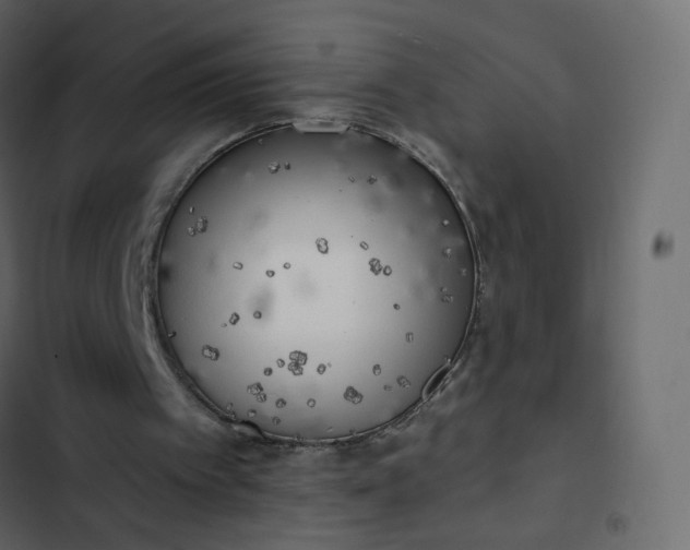 X0000102870097200809021457