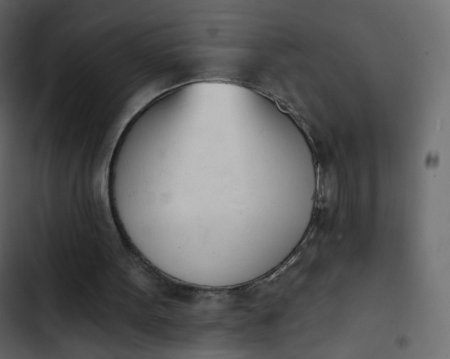 X0000102870099200809021457