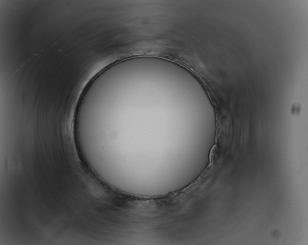 X0000102870100200809021457