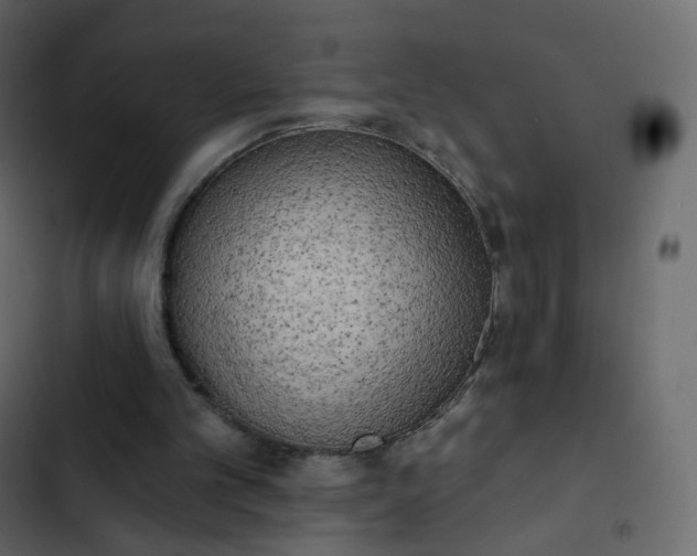 X0000102870101200809021457