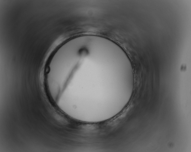 X0000102870102200809021457