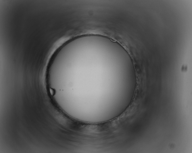 X0000102870104200809021457