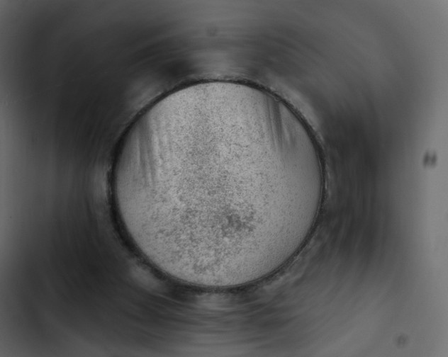 X0000102870105200809021457