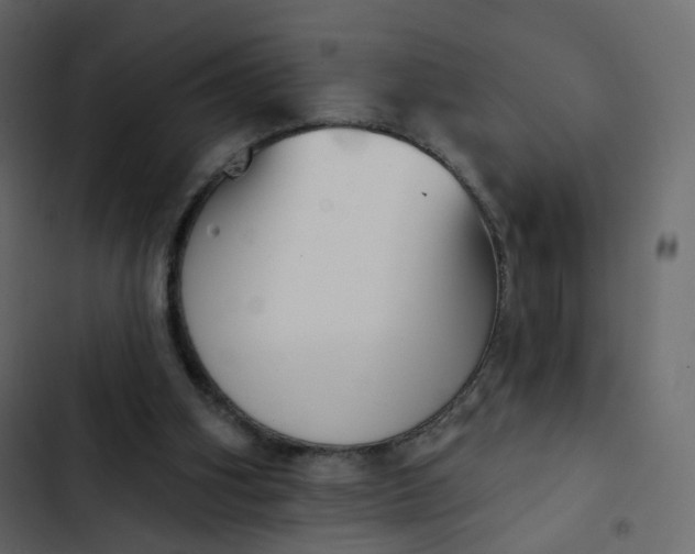 X0000102870106200809021457