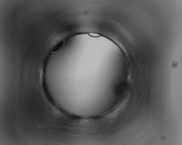 X0000102870109200809021457