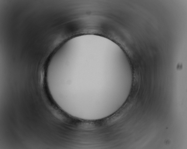 X0000102870110200809021457