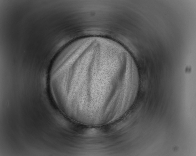 X0000102870111200809021457