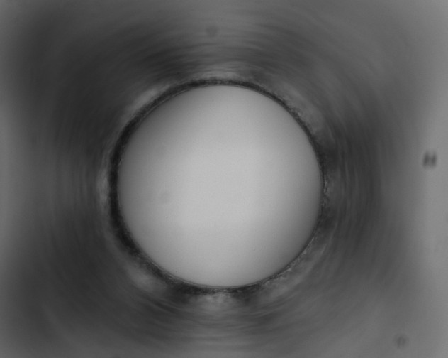 X0000102870112200809021457