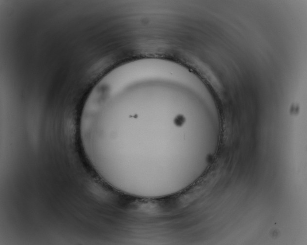 X0000102870113200809021457