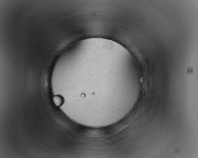 X0000102870115200809021457