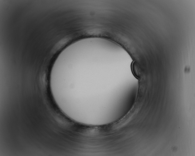 X0000102870116200809021457