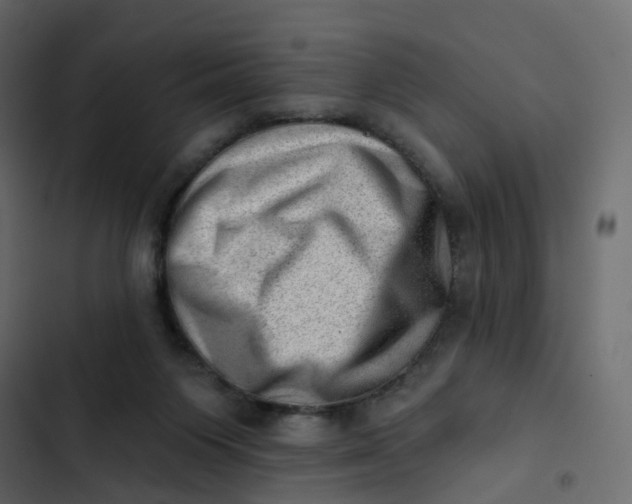 X0000102870119200809021457