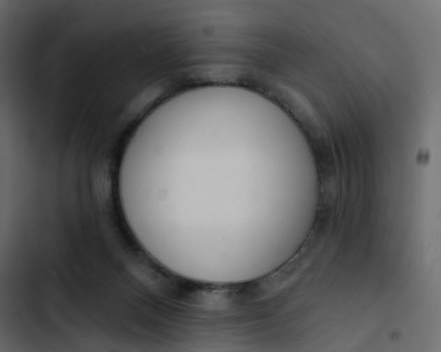 X0000102870120200809021457