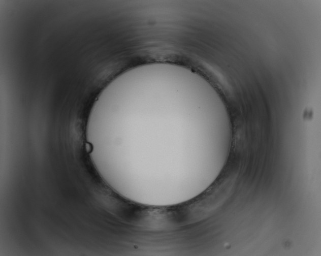 X0000102870121200809021457