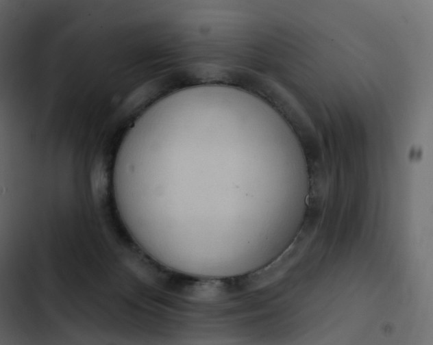 X0000102870124200809021457