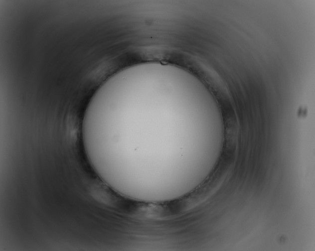 X0000102870125200809021457