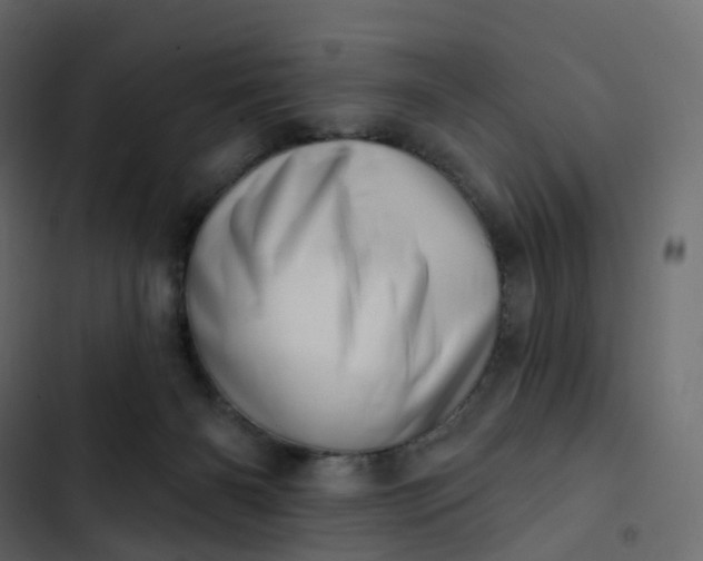 X0000102870126200809021457