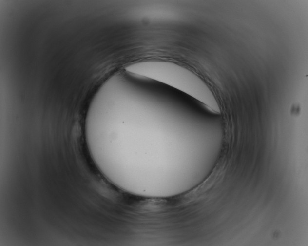 X0000102870128200809021457