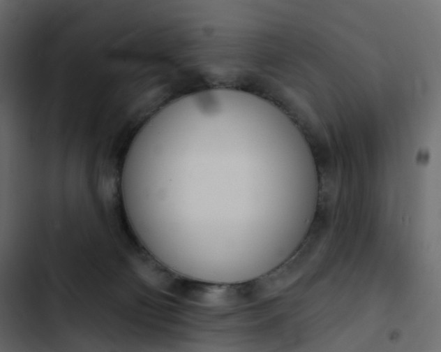 X0000102870130200809021457