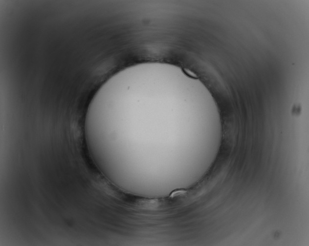 X0000102870131200809021457