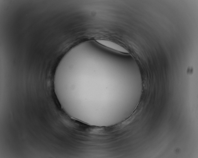 X0000102870132200809021456