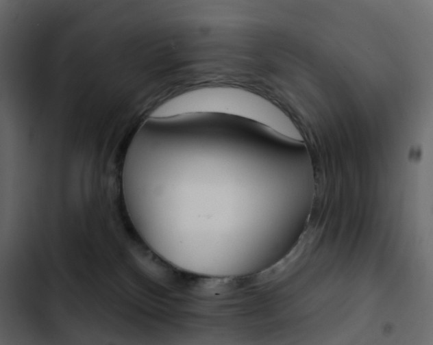 X0000102870136200809021456