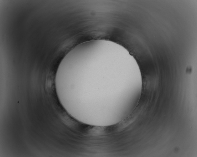 X0000102870138200809021456