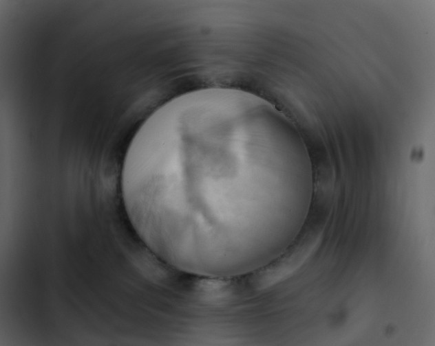 X0000102870139200809021456