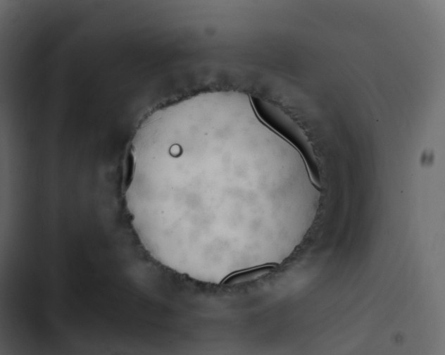 X0000102870144200809021456