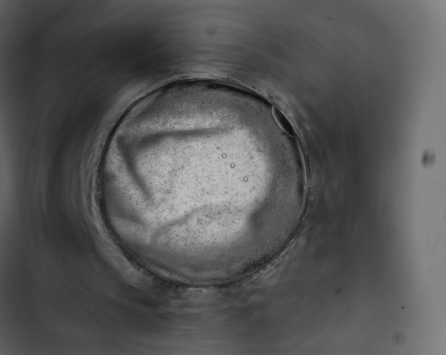 X0000102870145200809021456