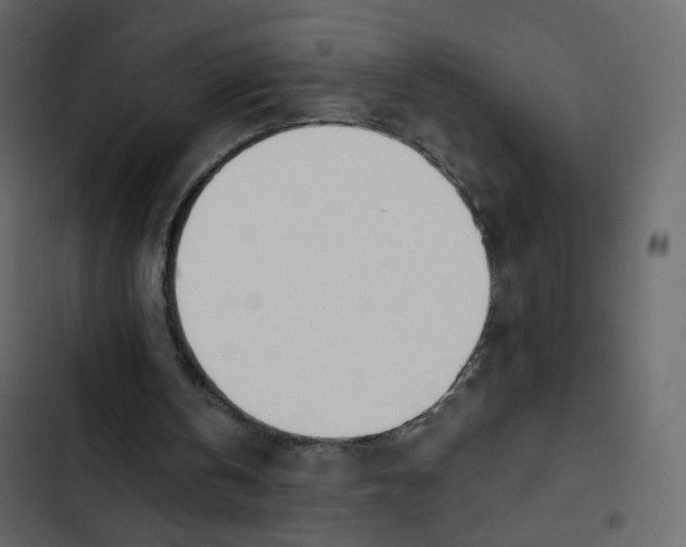 X0000102870146200809021456