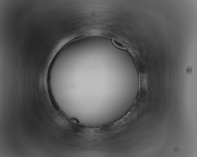 X0000102870147200809021456