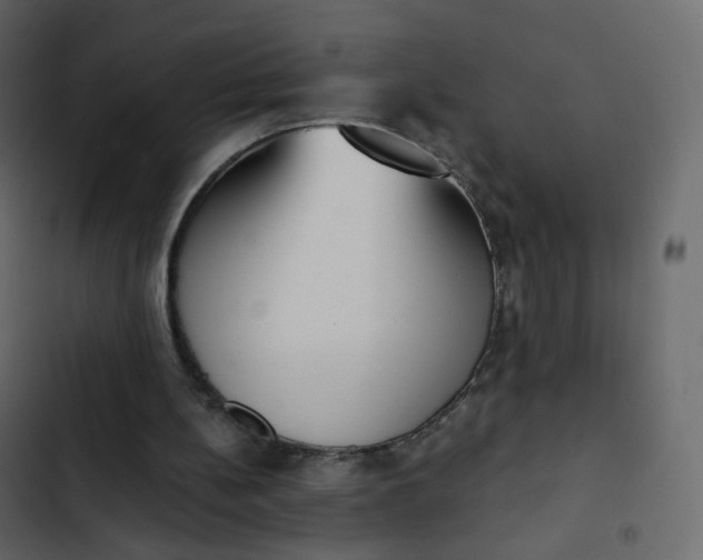 X0000102870148200809021456