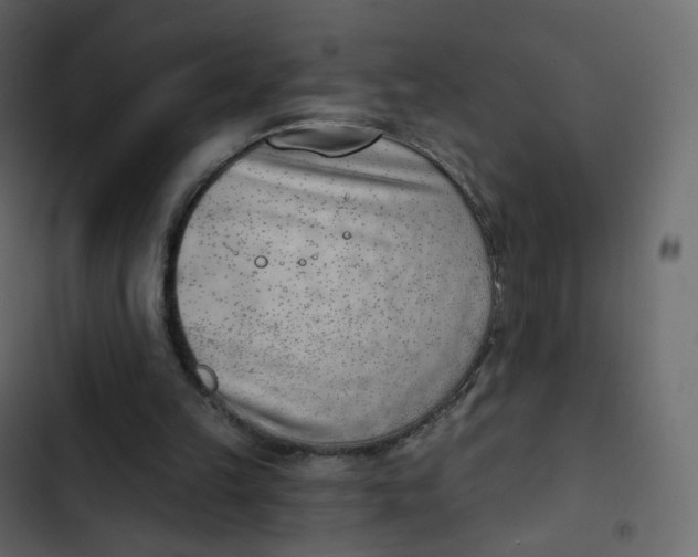 X0000102870149200809021456