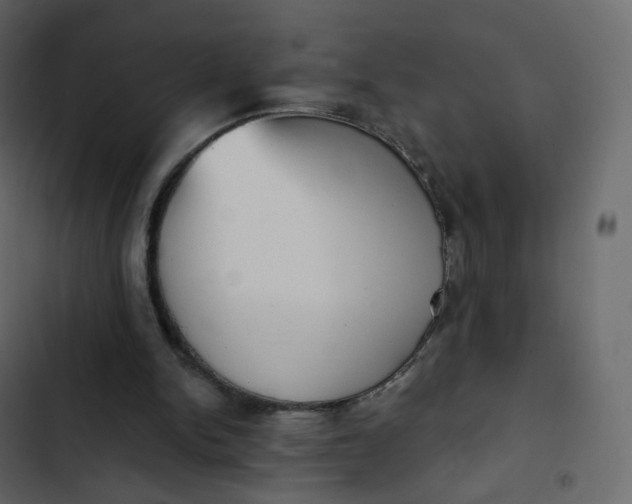 X0000102870150200809021456