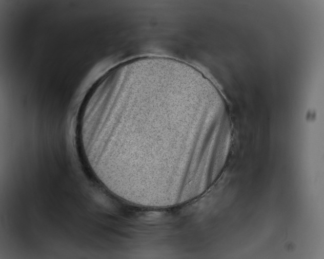 X0000102870151200809021456