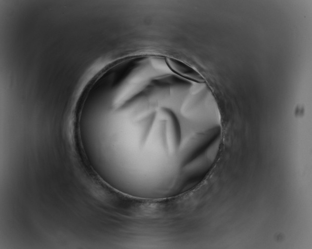 X0000102870152200809021456