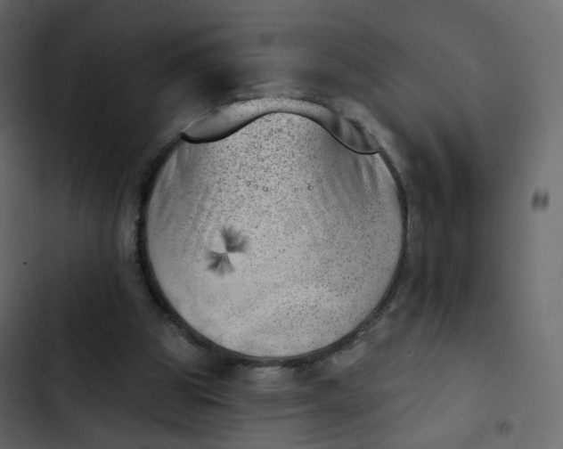 X0000102870153200809021456