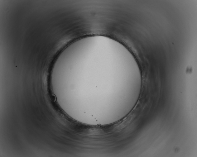 X0000102870154200809021456