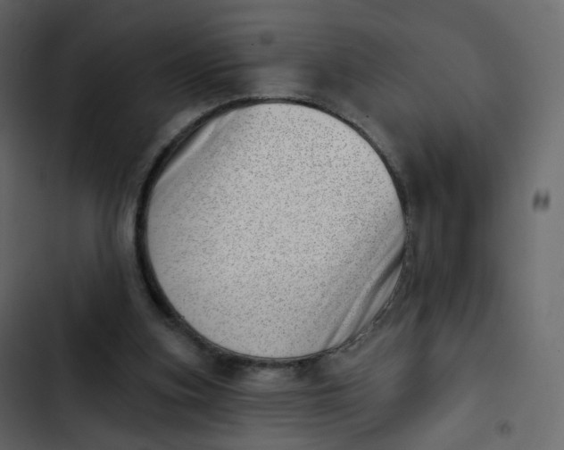 X0000102870155200809021456