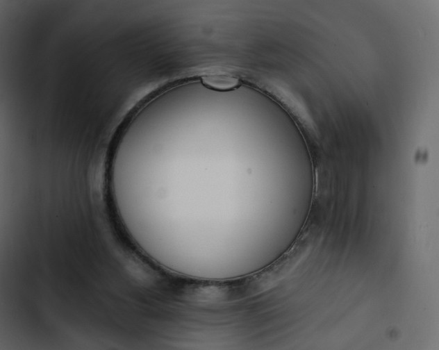 X0000102870156200809021456