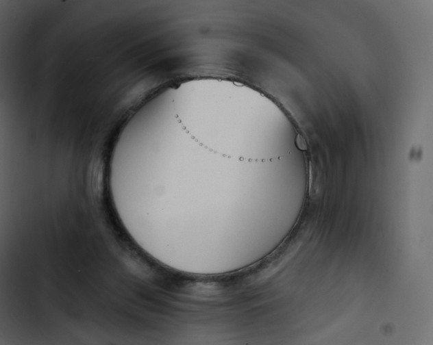 X0000102870157200809021456