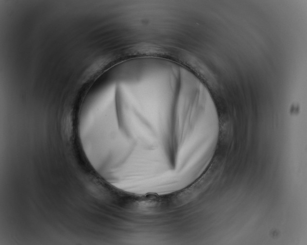 X0000102870158200809021456