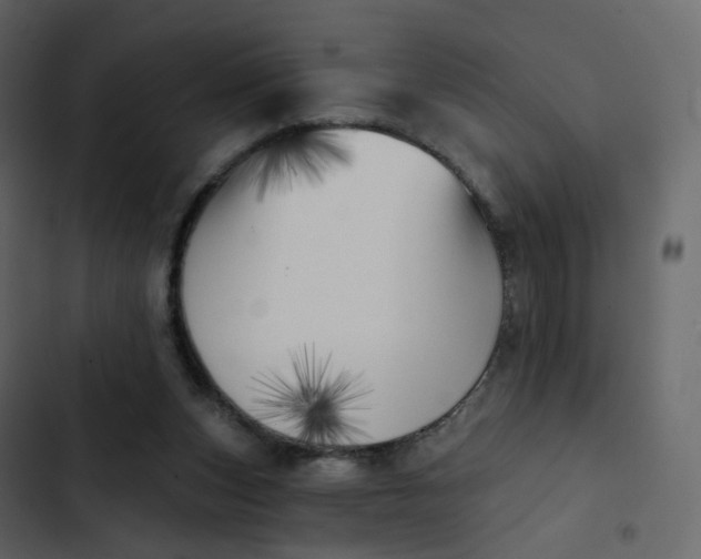 X0000102870159200809021456