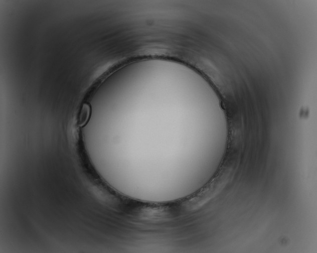 X0000102870160200809021456